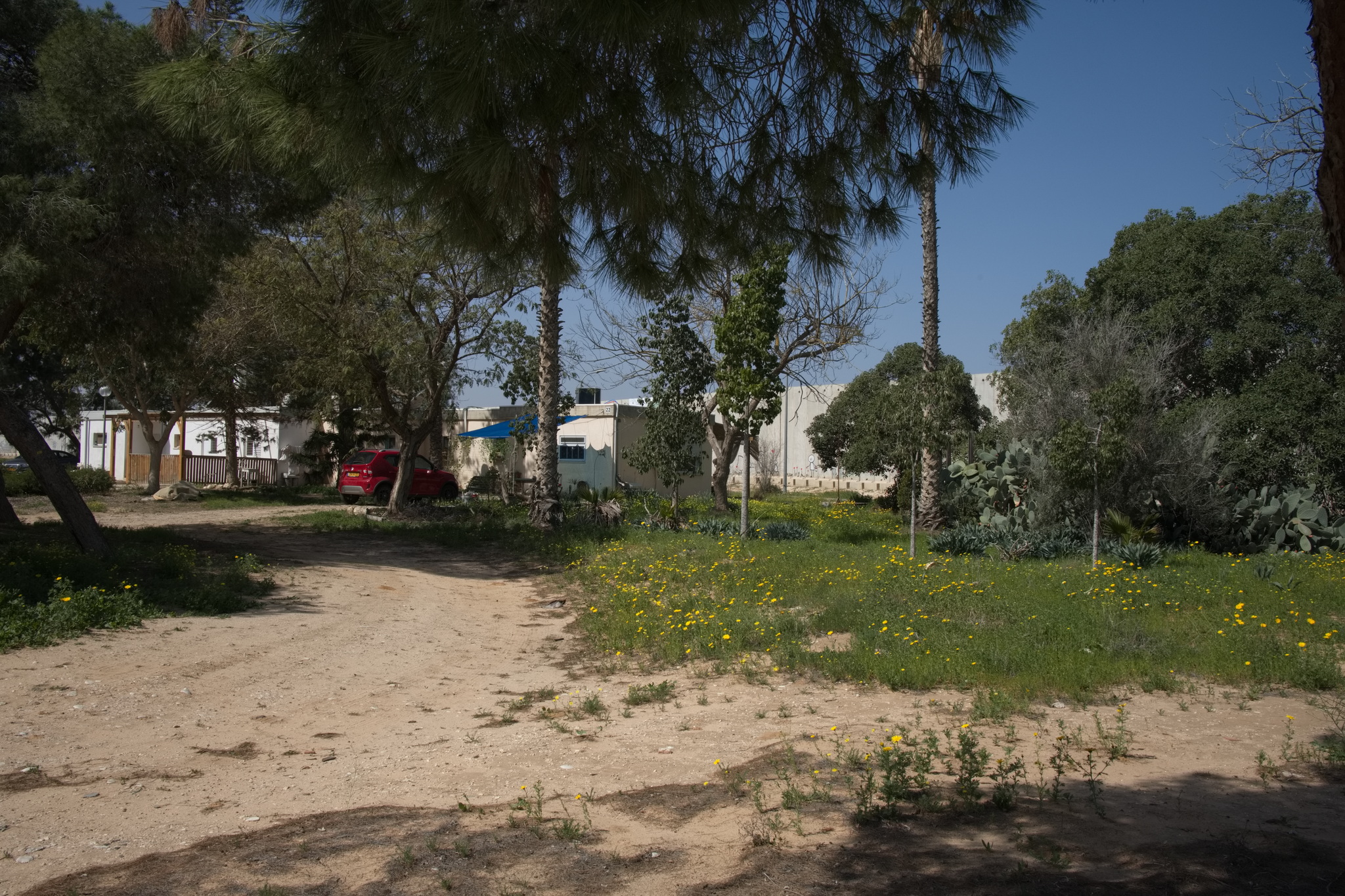 Kibutz Kerem Shalom on a peaceful day