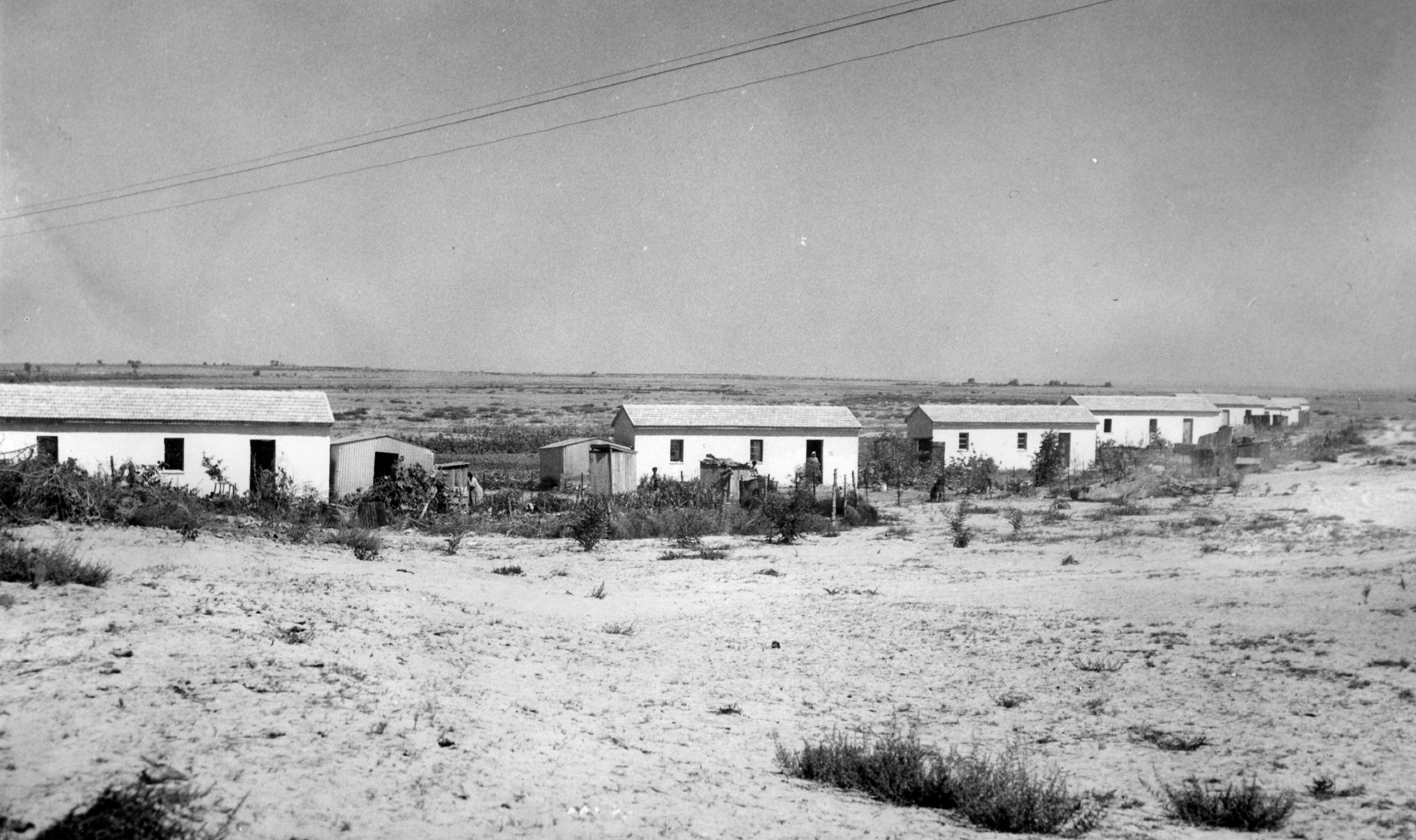Mivtahim 1956 (Avraham Malevsky, KKL-JNF Photo Archive)