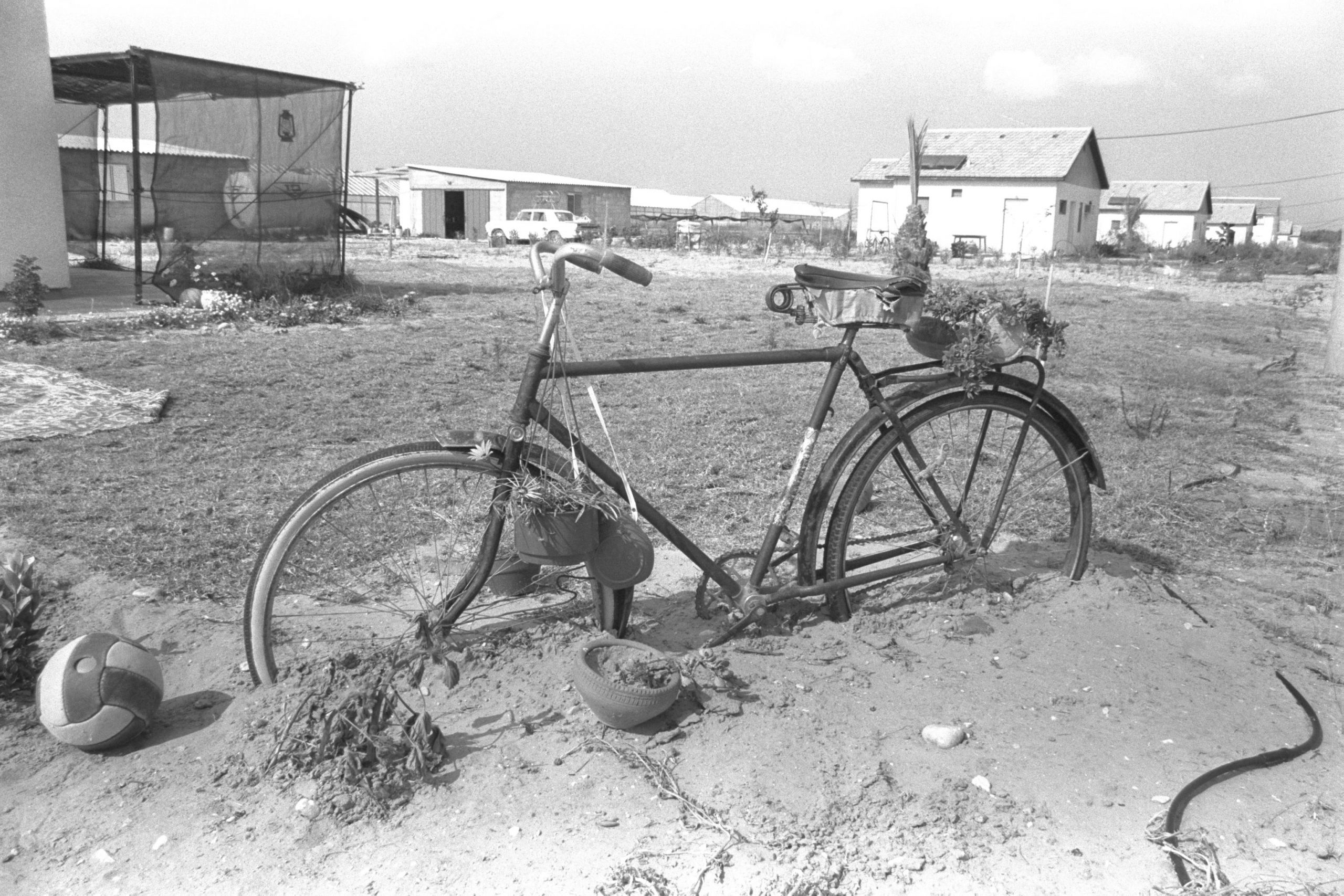 Old bicycle used as stand for flowerpots in moshav Pri Gan (Harnik Nati, Israel's National Photo Collection)