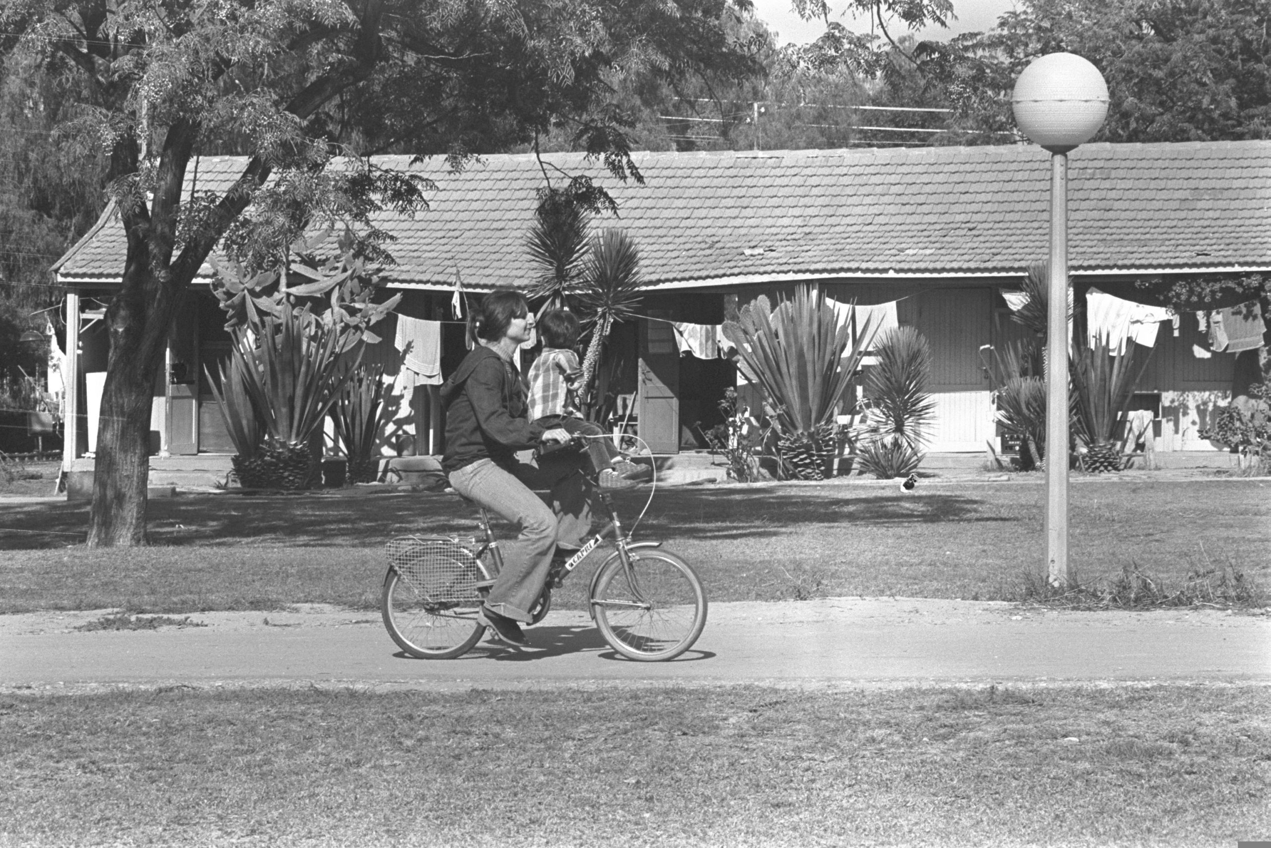 Rei'm, 1978 (Milner Moshe)