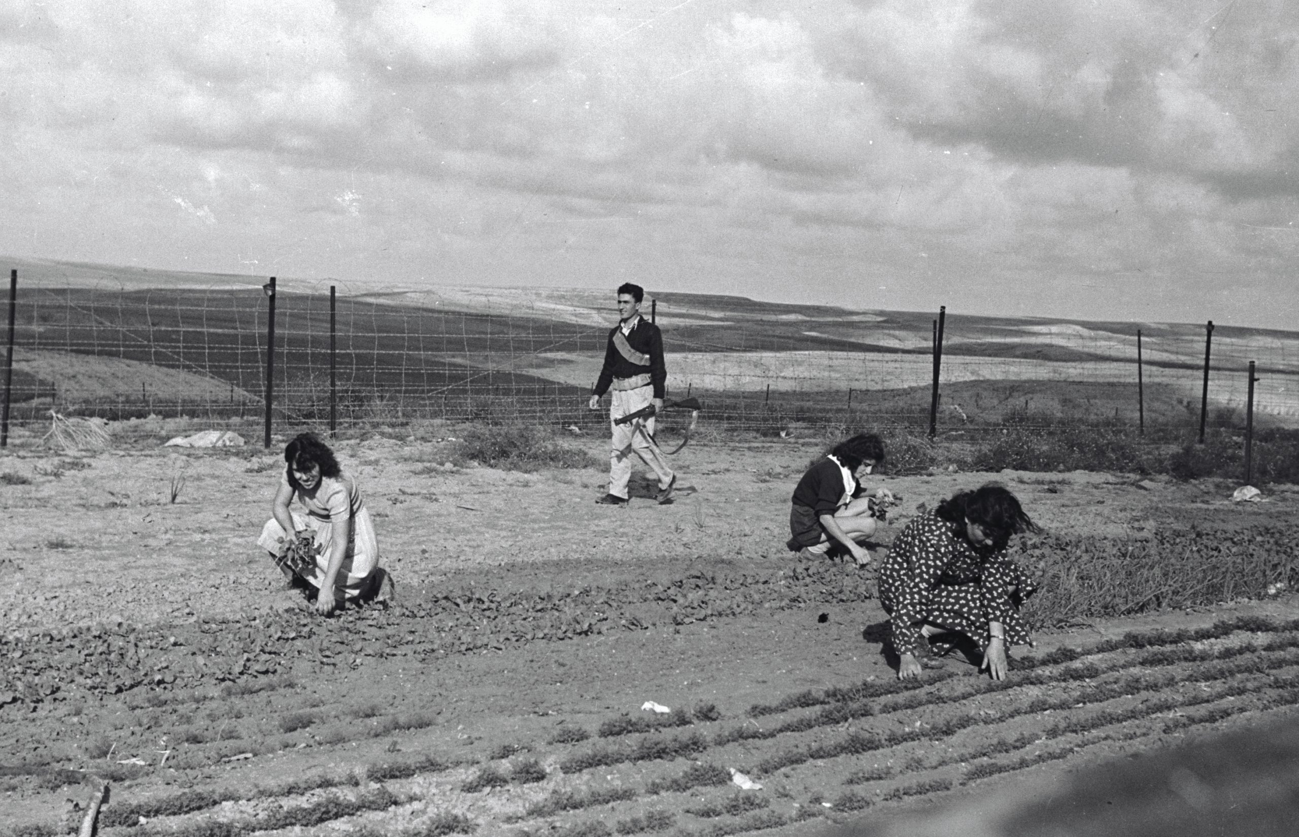Women working in the field, 1948 (Lasar Dunner, KKL-JNF Photo Archive)