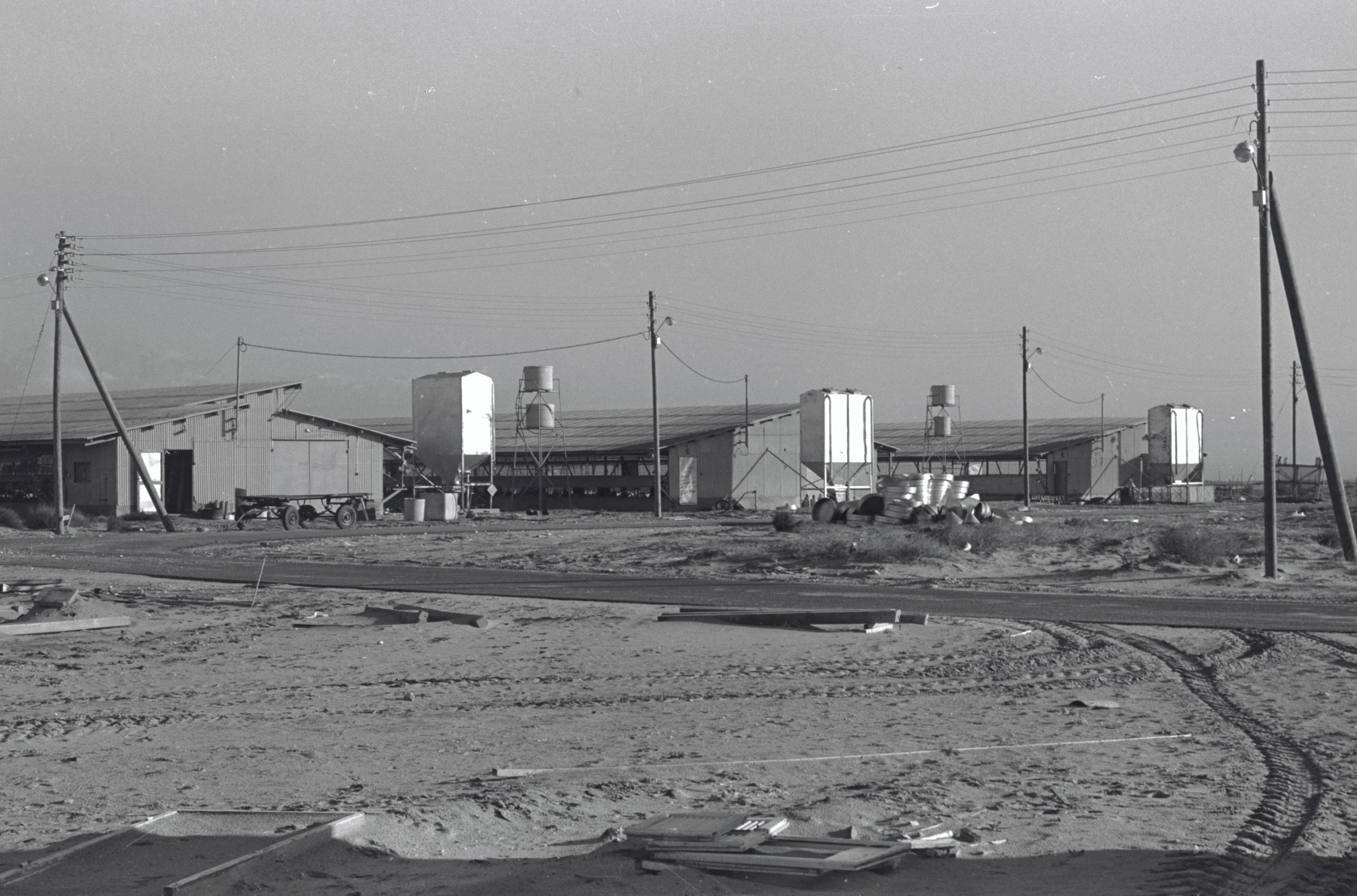 D3007-120 כרם שלום מראה, 1970 פרקש (4)