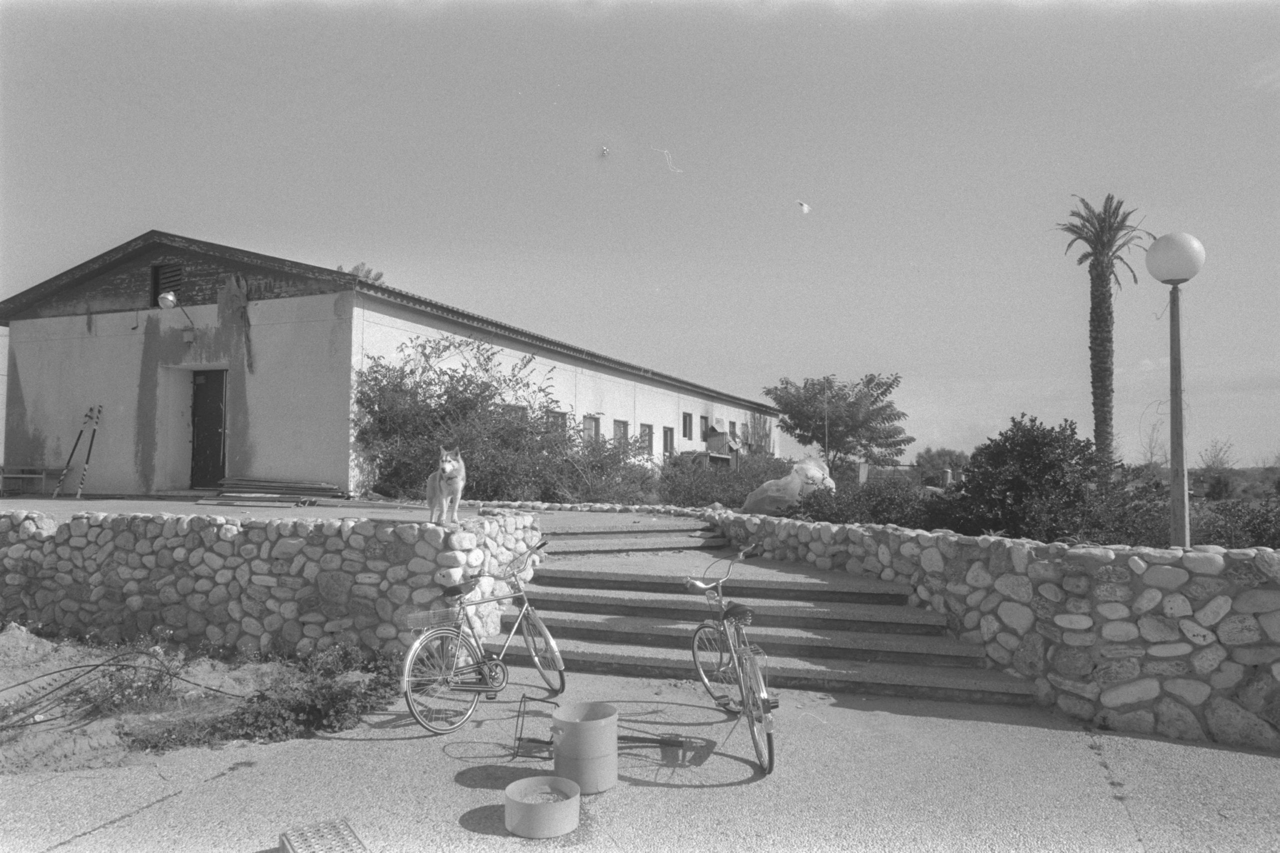 Outside the Dining Hall At Kibutz Sufa in the Yamit Region, 1982 (Beni Tel Or)