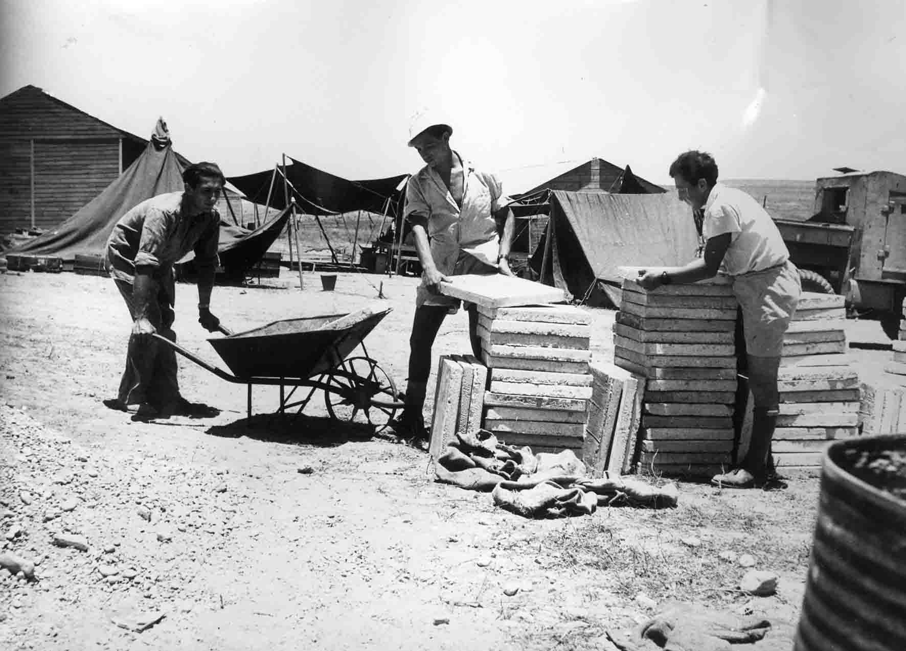 Mefalsim, 1949 (Abraham Malavski, KKL-JNF Photo Archive)