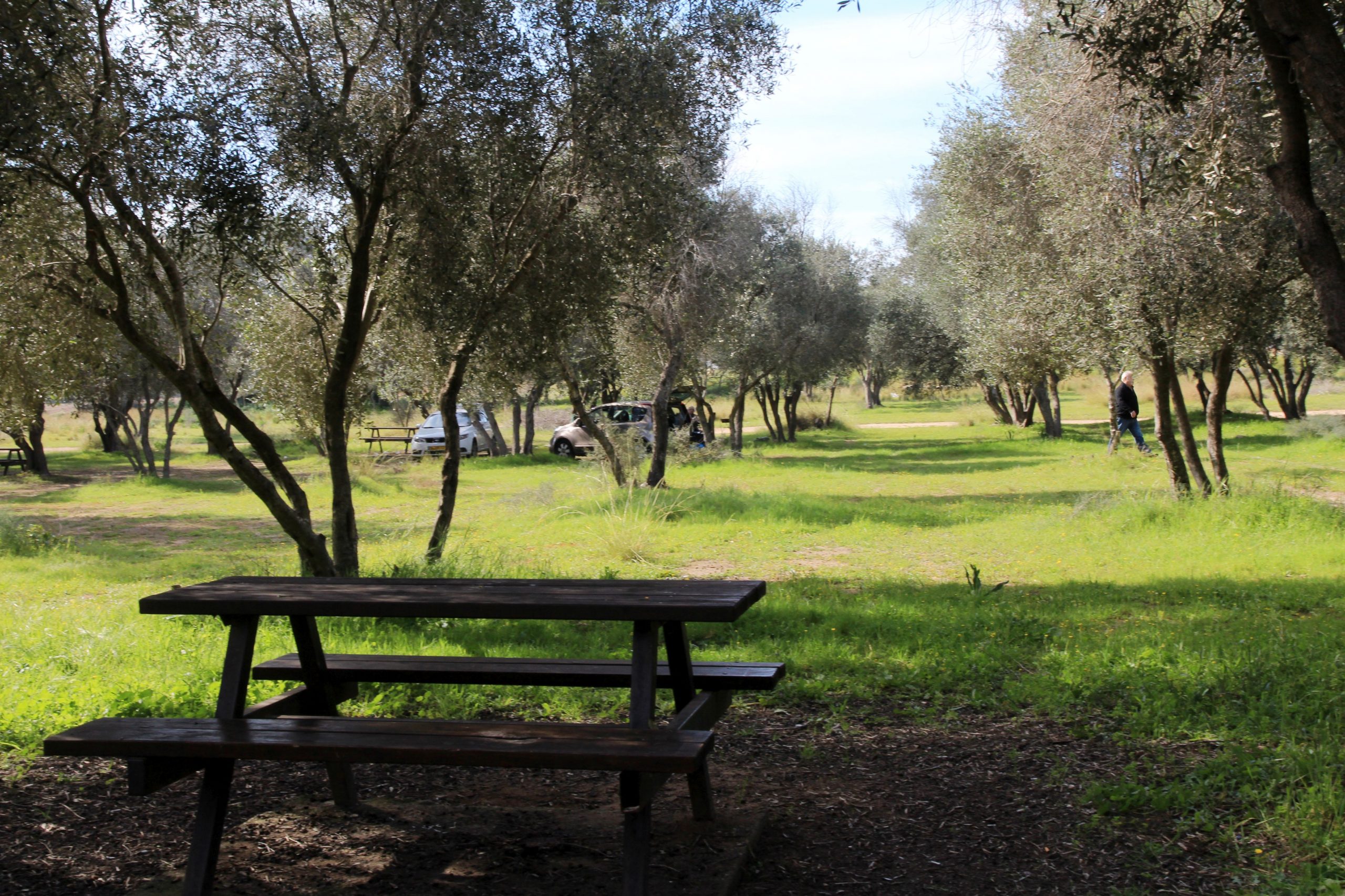 Yad Mordechai forest (Yaakov Shkolnik, KKL-JNF Photo Archive)