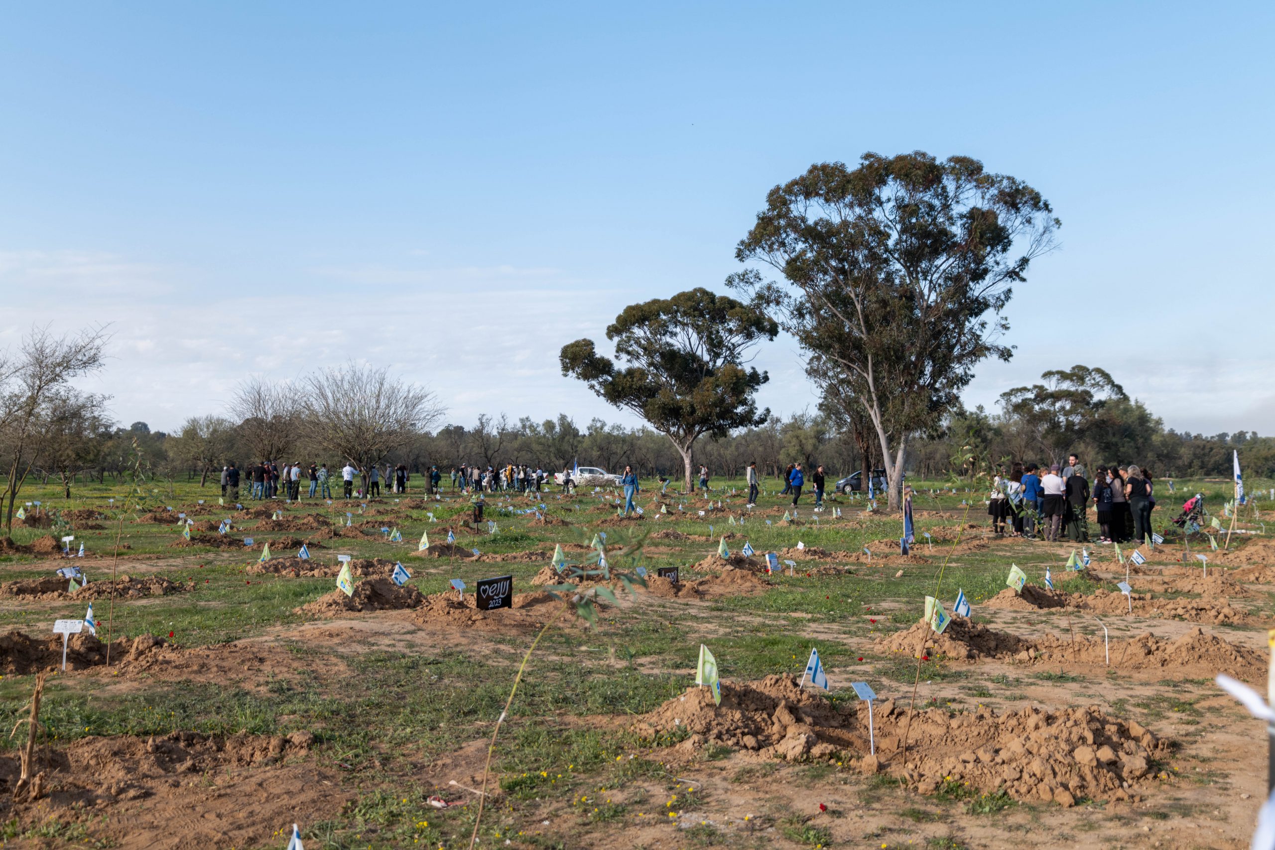 Re'im (Be'eri) Forest (Bonnie Scheinman, KKL-JNF Photo Archive)