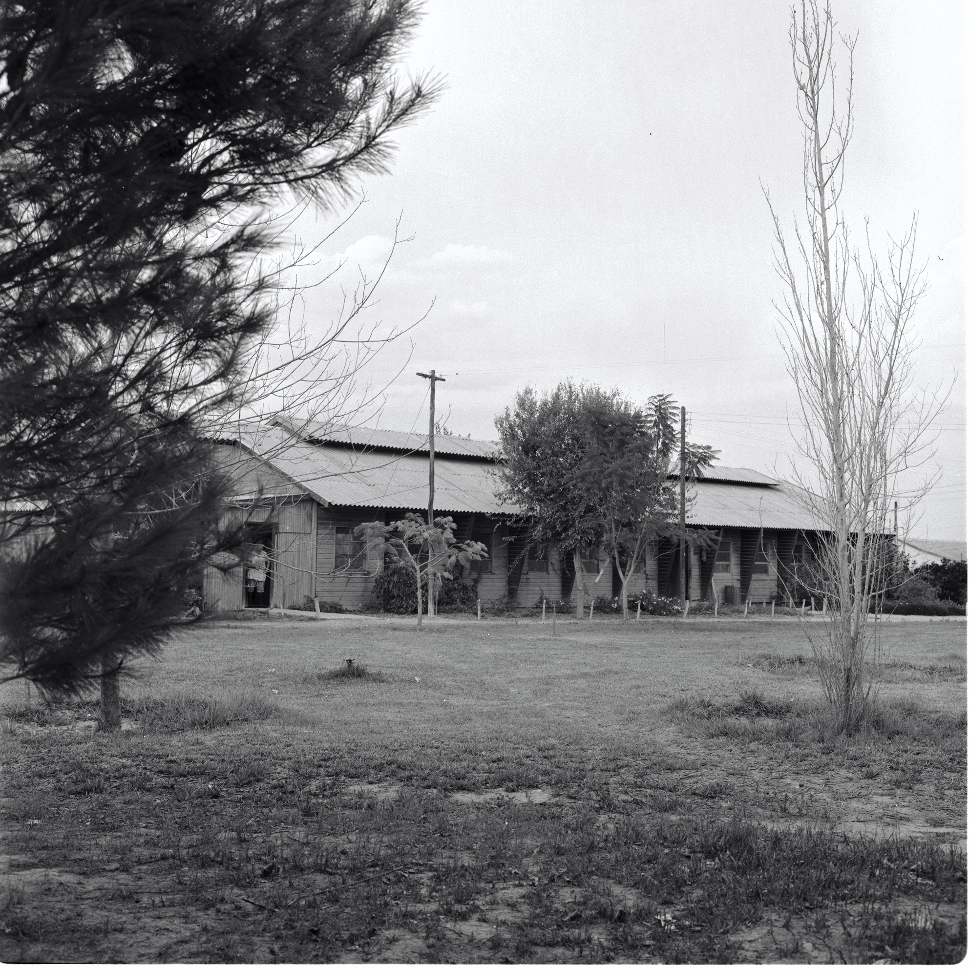 d7-016 חדר האוכל בכיסופים, 1961 דוד הירשפלד