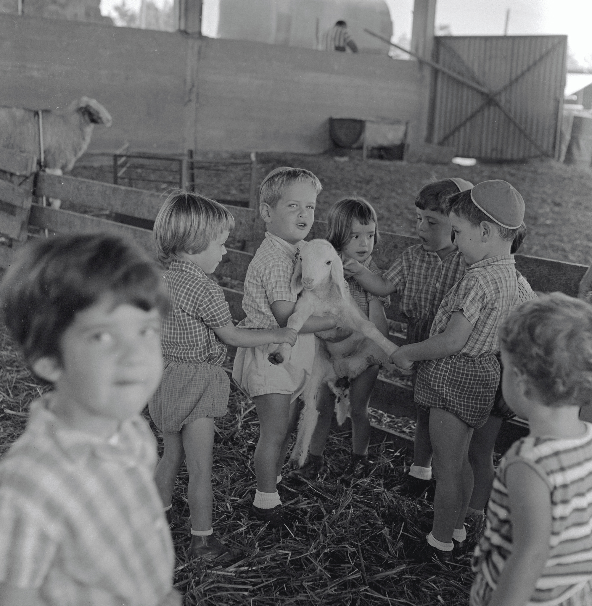 ילדים משחקים בסעד, דוד ישראל, 1968 D231-022