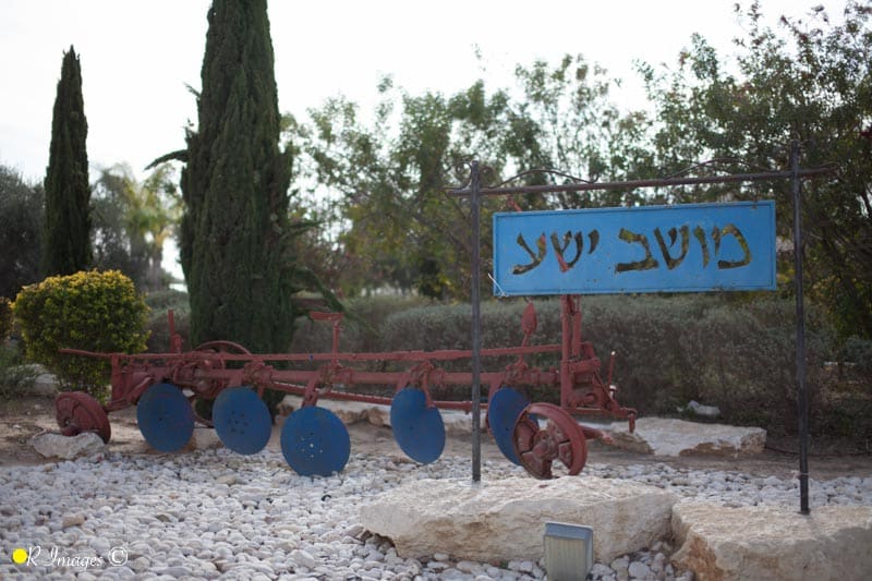 ישע-אשכול-אור-אלכסנברג-15