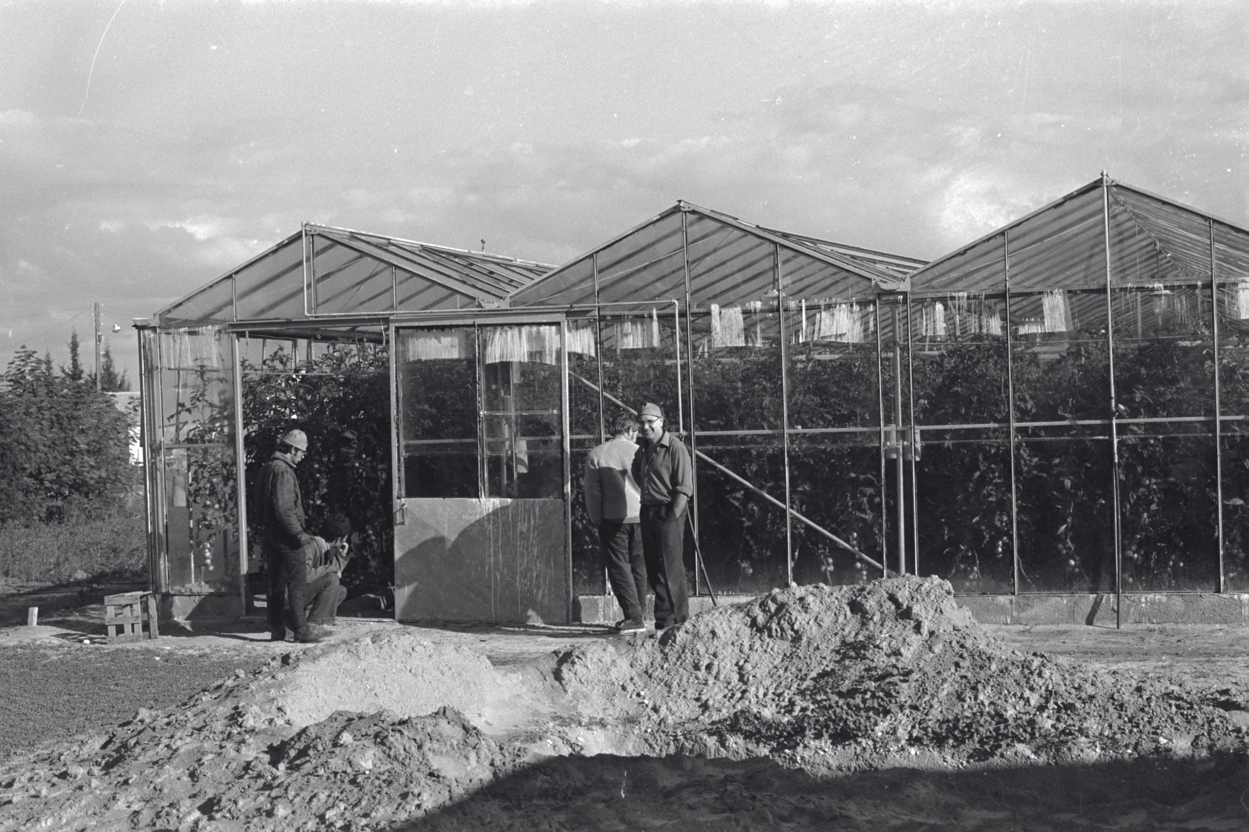 ישע - חממה של פרץ, פרקש, 1.4.1972 D3005-067