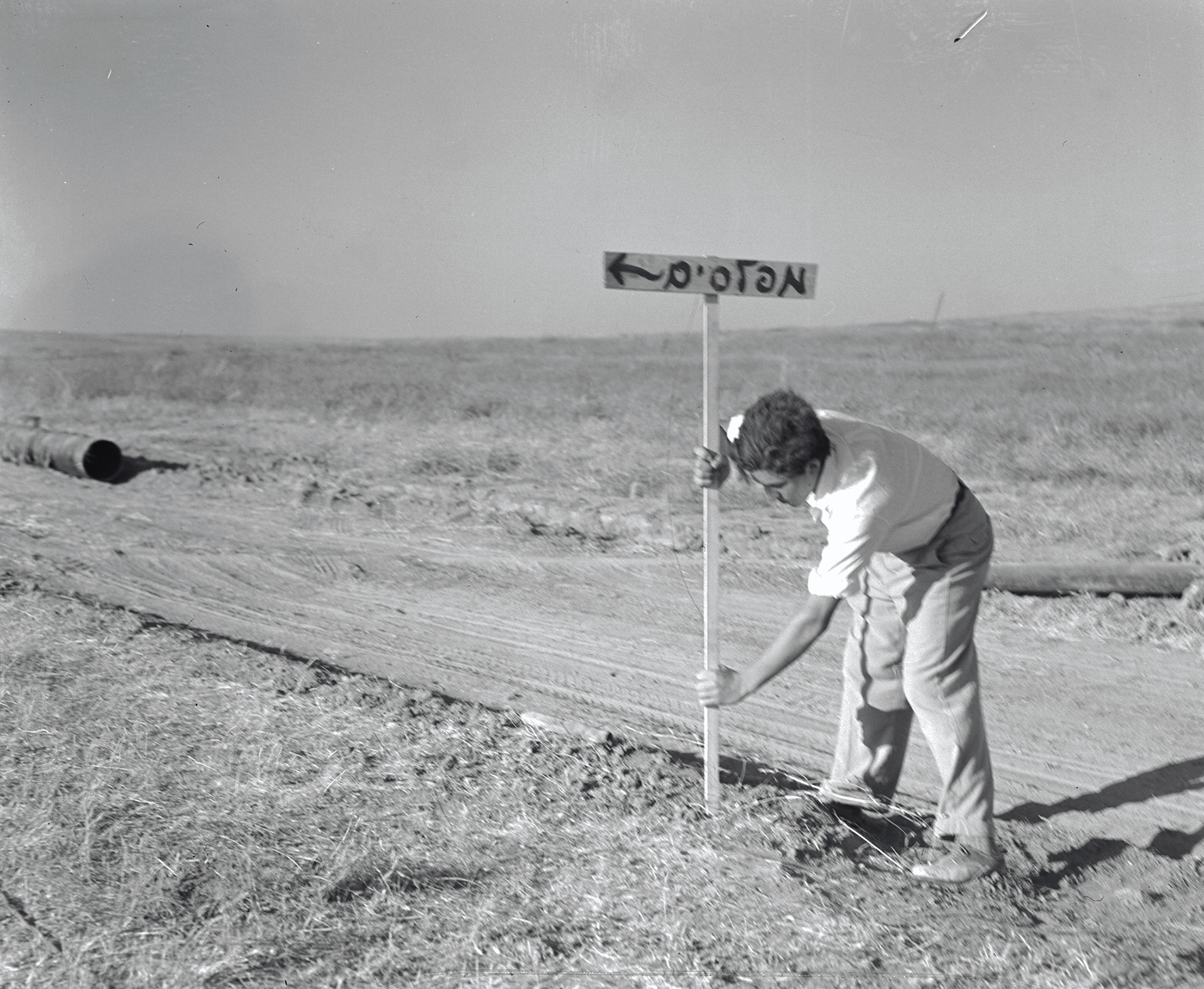 Mefalsim, 1949 (Abraham Malavski, KKL-JNF Photo Archive)