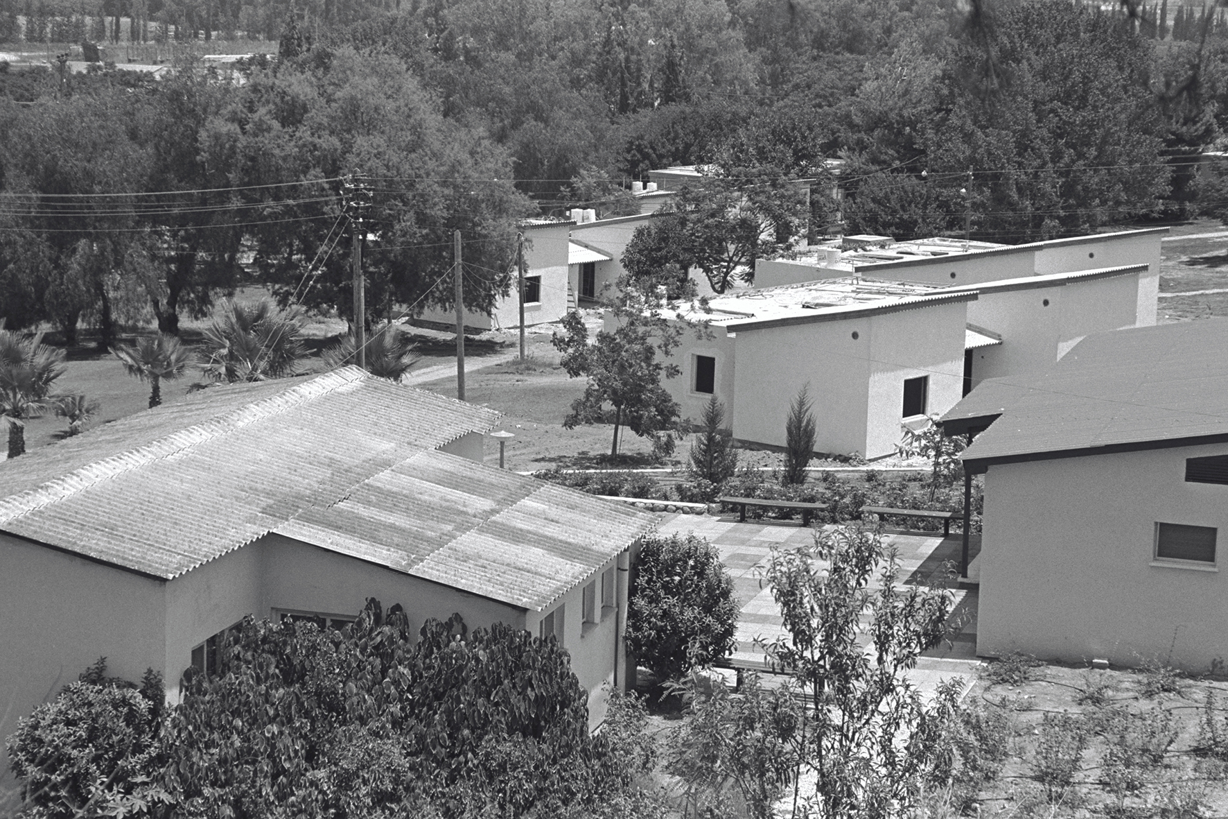 Erez 1979 (Dafnai, KKL-JNF Photo Archive)
