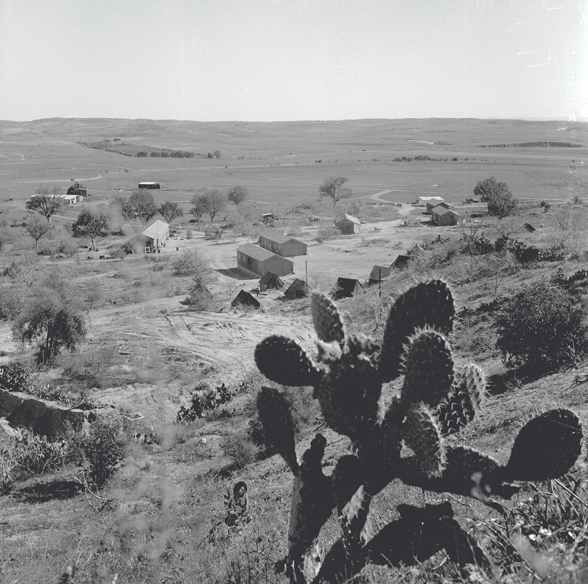 Erez, 1951 (Verner Brown, KKL-JNF Photo Archive)