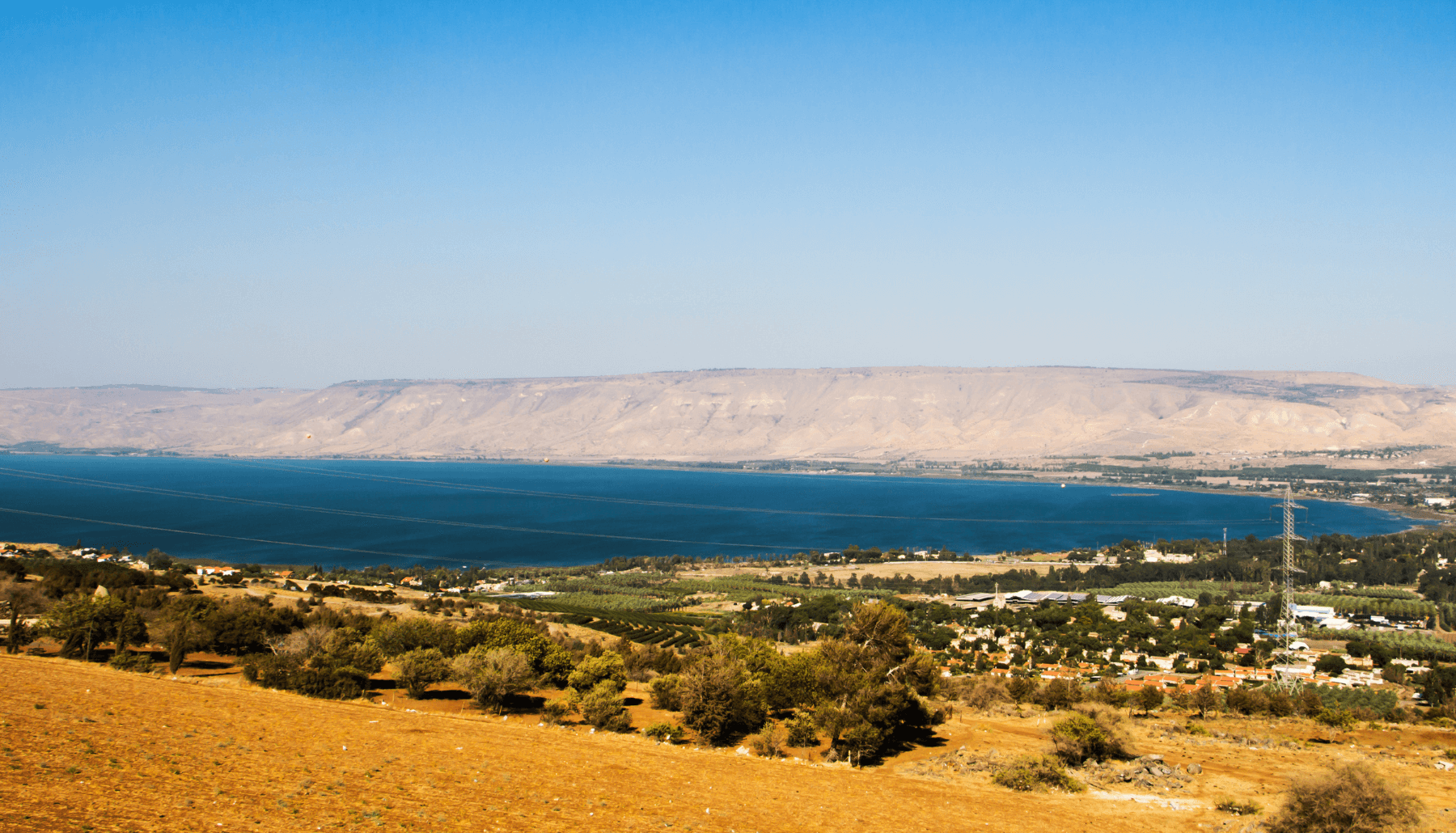 Plant a tree in Israel a sustainable donation Donate KKLJNF