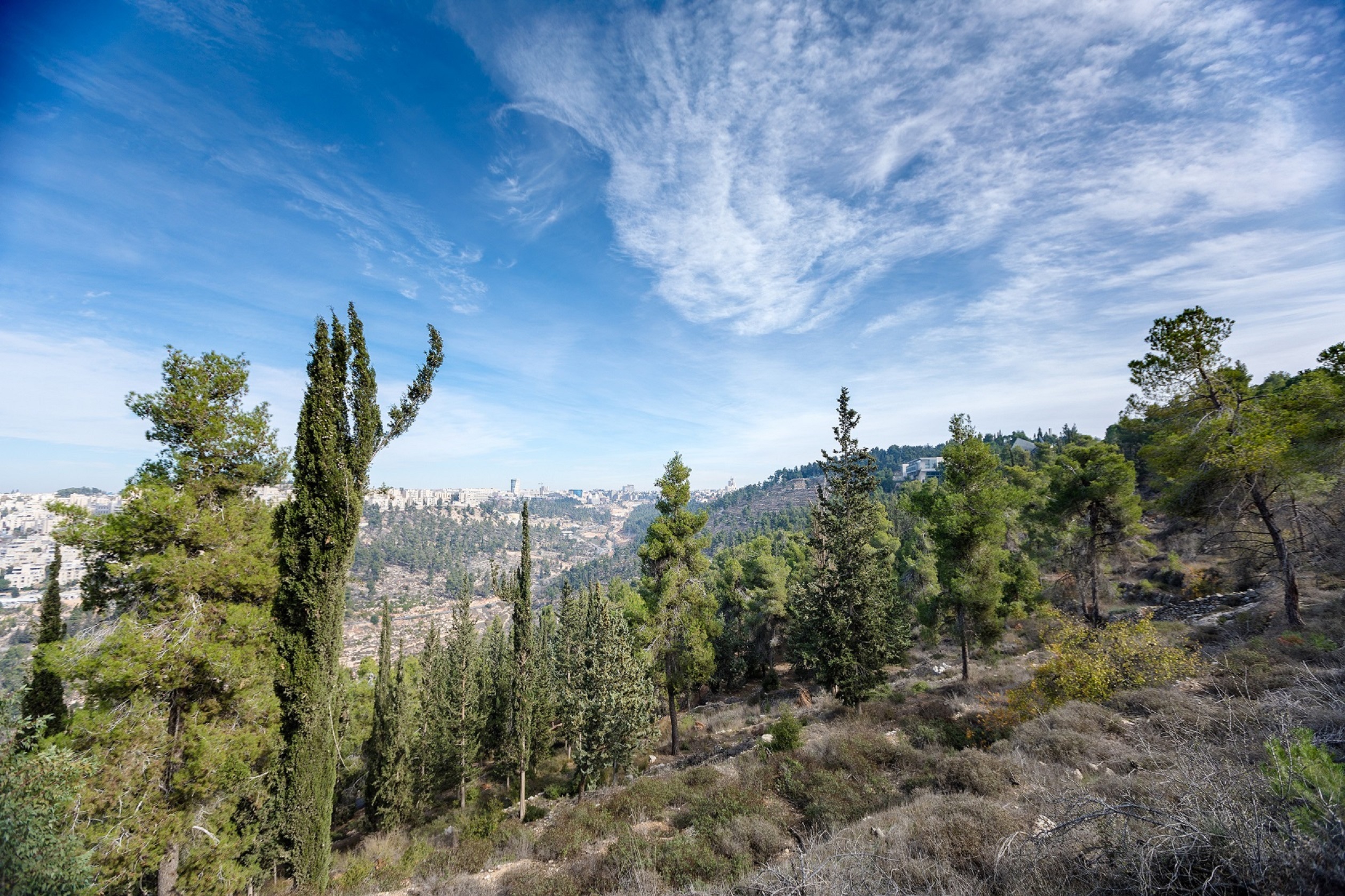 Avi Balaban, KKL-JNF Photo Archive IMG_4269