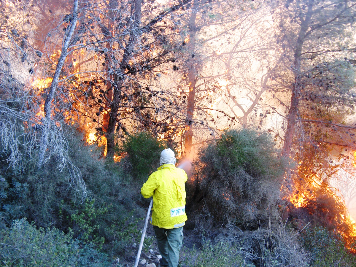 Nir Har, KKL-JNF Photo Archive Carmel, Nir Har, 2010-1