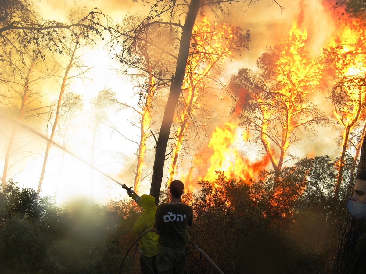 Nir Har, KKL-JNF Photo Archive Fire on the Carmel. Photo, Nir Har