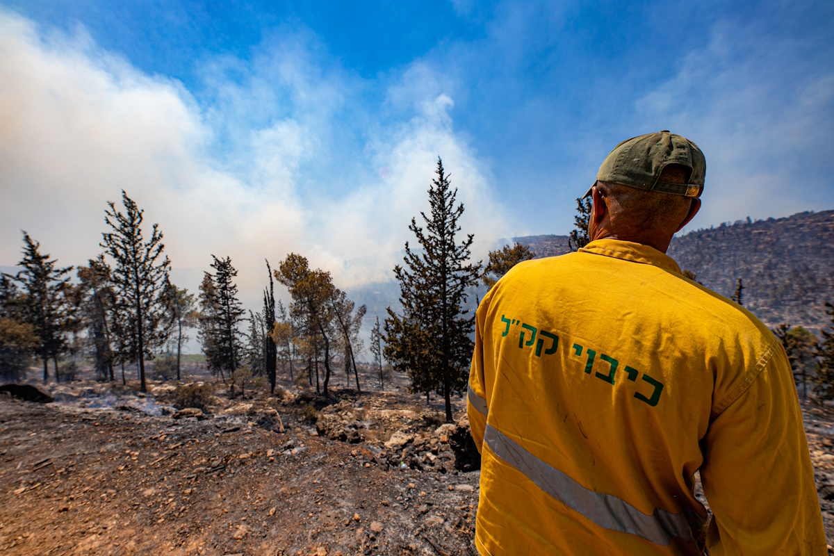 Amos Luzon, KKL-JNF Photo Archive Amos Luzon