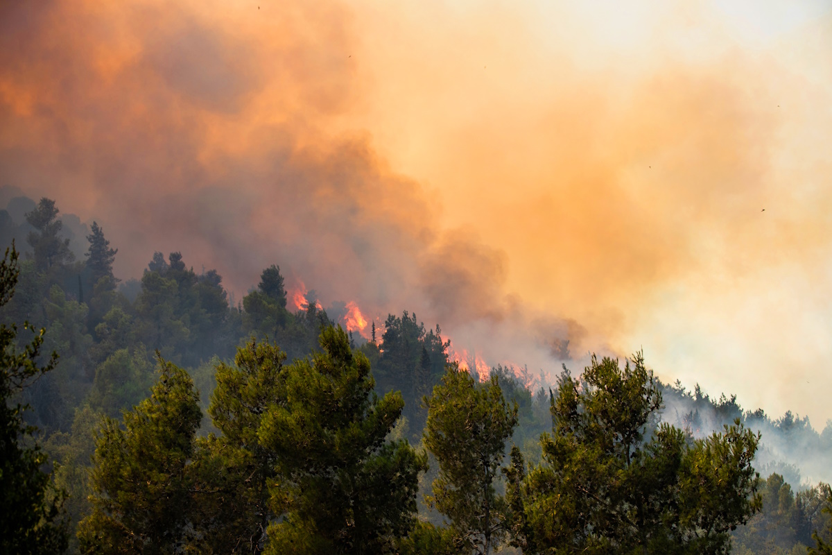 Amos Luzon, KKL-JNF Photo Archive Jerusalem Hills Wildfire - Amos Luzon (8)