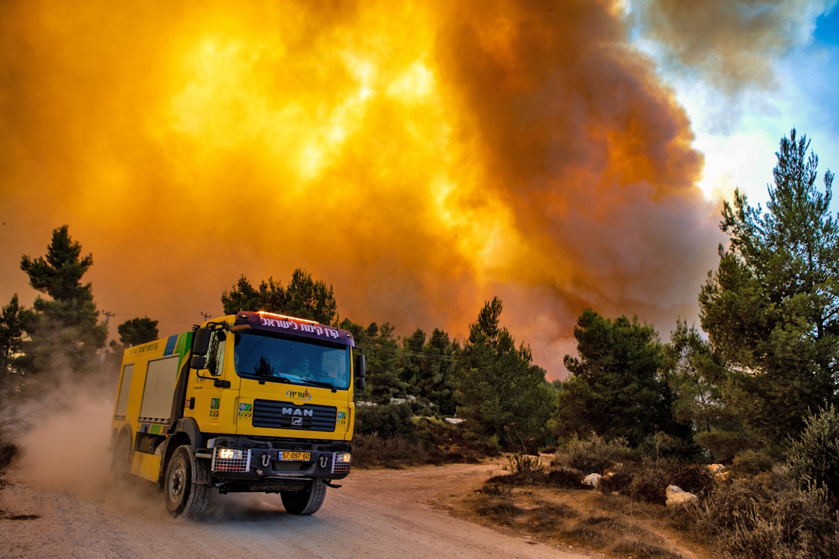 Amos Luzon, KKL-JNF Photo Archive Jerusalem Hills Wildfire - Amos Luzon (9)