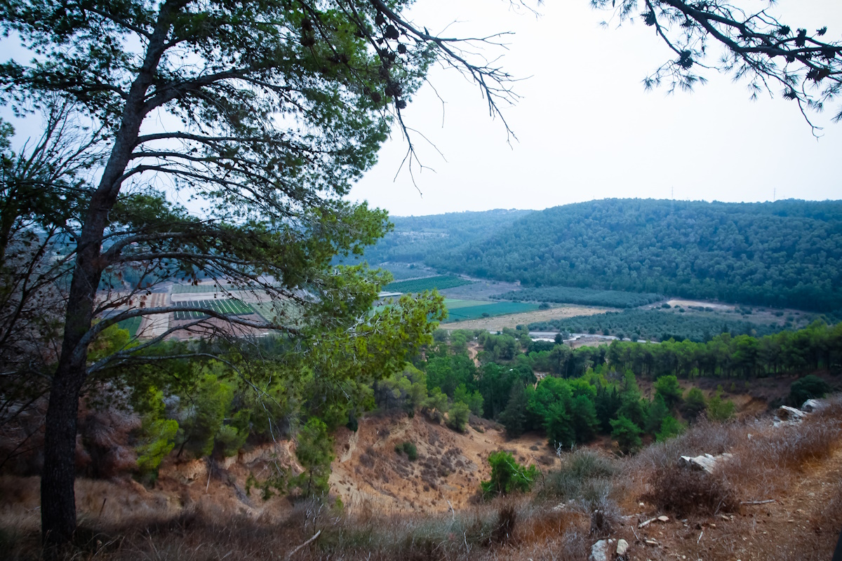 KKL-JNF Photo Archive ?????? ?????-???'? ???