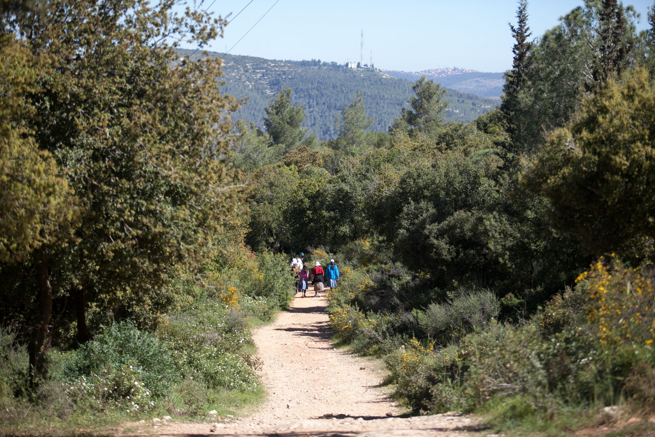 Yossi Zamir, KKL-JNF Photo Archive Yossi Zamir