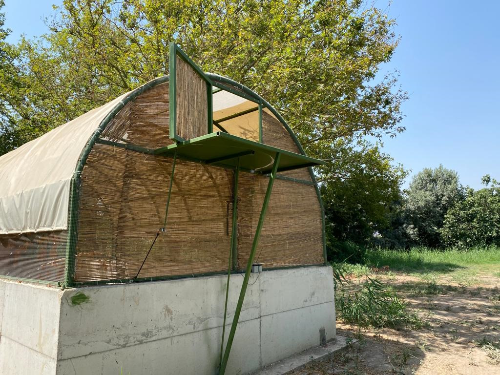 Rehabilitaion Enclosure, Release Hatch, Photo by AWRC Staff Rehabilitaion Enclosure, Release Hatch, Photo by AWRC Staff