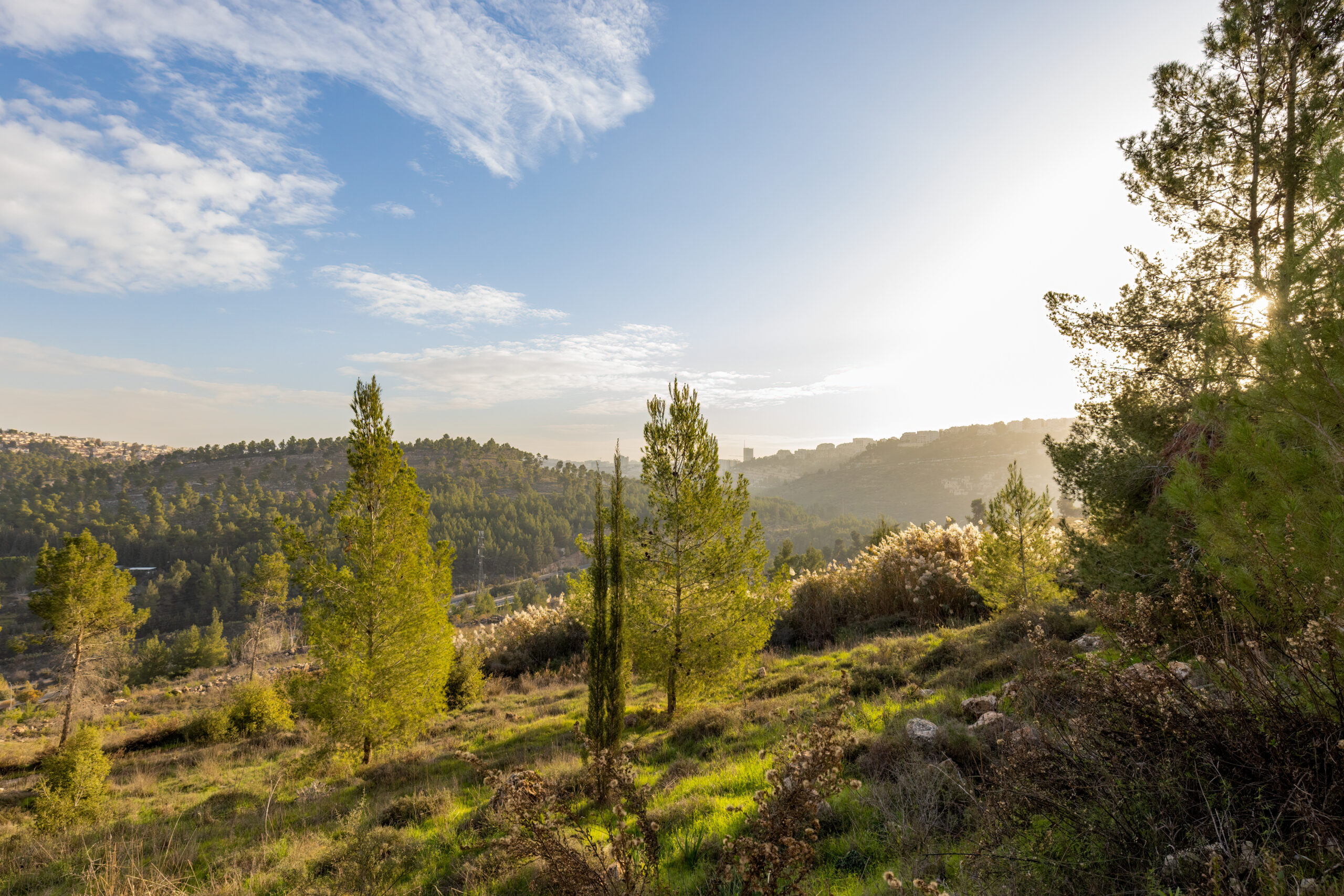Bonnie Scheinman, KKL-JNF Photo Archive Bonnie Scheinman, KKL-JNF Photo Archive