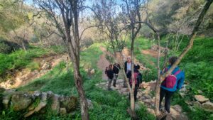 Ein Karem Trail, Adi Tene