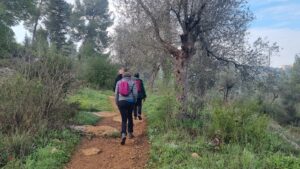 Ein Karem Trail, Adi Tene 
