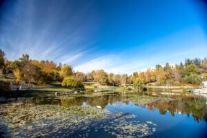 Jerusalem Botanical Gardens, Avi Balaban (1)