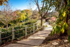 Jerusalem Botanical Gardens, Avi Balaban (2)