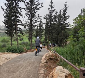 Jerusalem Forest, Bella Nudelman
