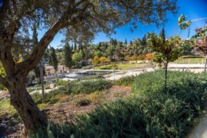 Teddy Park, Jerudsalem, Avi Balaban